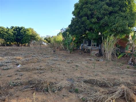 Fazenda Sítio Chácara para venda possui metros quadrados 3 quartos