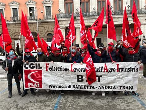 Sicurezza Sui Luoghi Di Lavoro E Diritti Negati La Flai Cgil Bat In