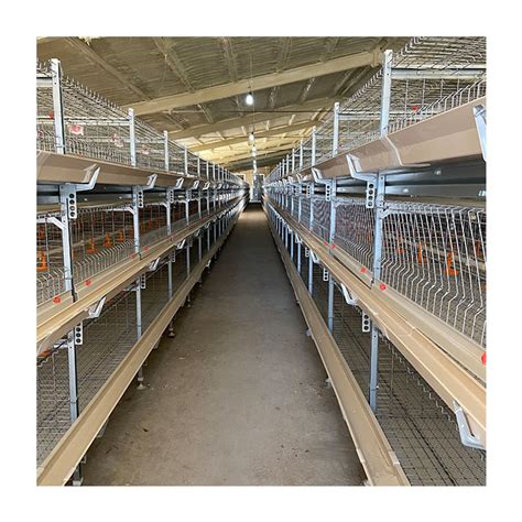 China Modern Design Broiler Poultry Equipment H Type Tiers Chicken