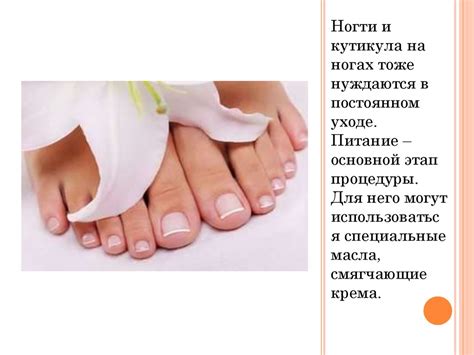 Косметология. Составление процедур по уходу за кожей рук и ног ...