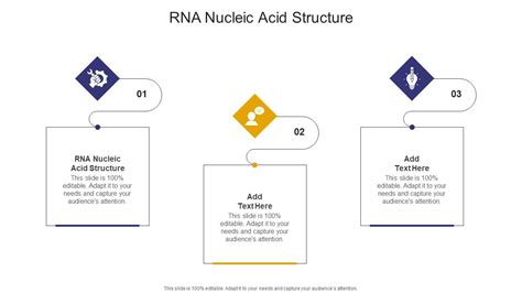 RNA Nucleic Acid Structure In Powerpoint And Google Slides Cpb