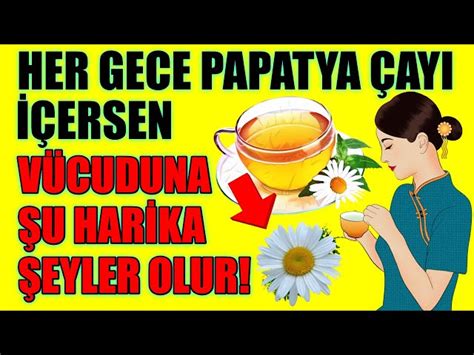 Papatya Ay N N Faydalar Neye Yi Gelir Nefis Yemek Tarifleri