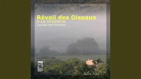 R Veil Des Oiseaux La Graillerie Laurac En Vivarais Youtube