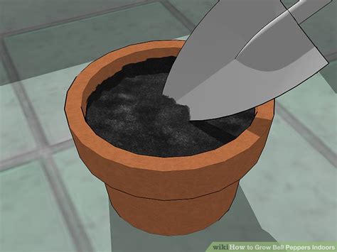 3 Ways to Grow Bell Peppers Indoors - wikiHow