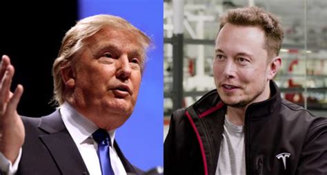 Charged Evs Elon Musk Named To President Elect Trumps Advisory Team