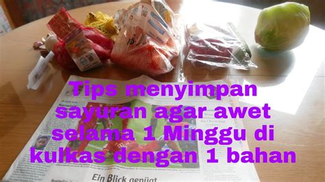 Tips Menyimpan Sayuran Agar Awet Selama 1 Minggu Di Kulkas YouTube