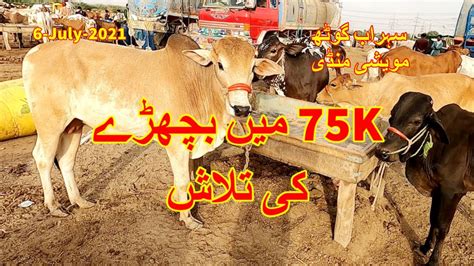 75K Me Bachray Ki Talash YouTube