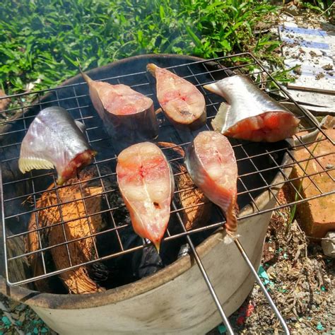 Manfaat Ikan Patin Untuk Kesehatan Tubuh