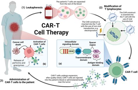 Manufacturing process of CAR-T cell therapy: the manufacturing process ...