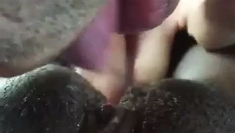 Free Ebony Pussy Eating Porn Videos XHamster