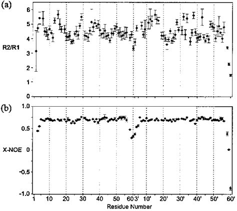 Backbone Amide Dynamics Data For COL 23 R 2 R 1 A And Steady State