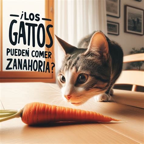 ¿pueden Los Gatos Comer Zanahoria Guía De Alimentación Felina Gato Adoptado Familia Feliz