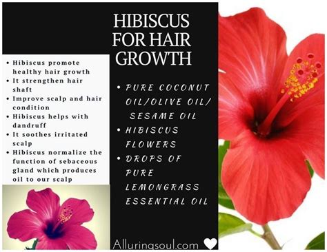 Top 20 Hibiscus Flower For Hair Hair Growth For Men Treat Hair Loss Help Hair Loss