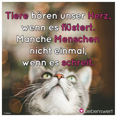 Zitate Tiere Liebe