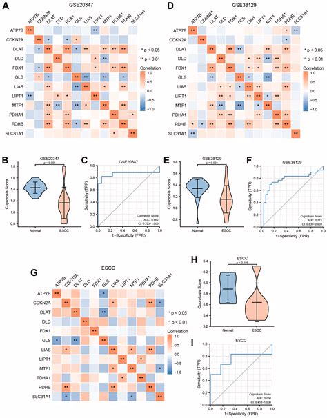 Identification And Validation Of A Prognostic Signature Of Cuproptosis