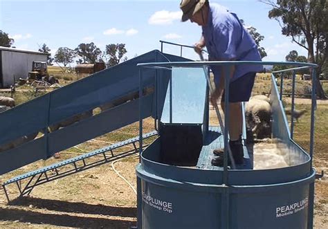 Mobile Sheep Dip Peakplunge Peak Hill Industries