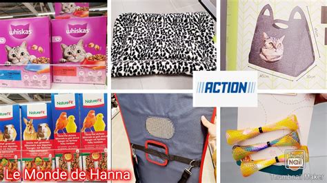 ACTION ARRIVAGE 23 02 ANIMAUX CHIEN CHAT ACCESSOIRES YouTube