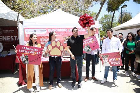 Inaugura Armando Ayala M Dulo De Adopci N De Mascotas En Parque