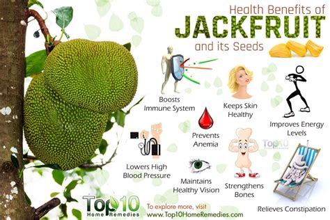 Health Benefits Of Jackfruit And Its Seeds Top 10 Home Remedies