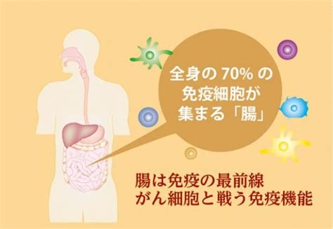 「腸」で健康寿命が延びる4つの理由とは？ 広島のスポーツショップ コダマ