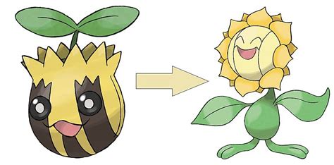 Sunkernandsunflora Wiki Pokémon Go Brasil Amino