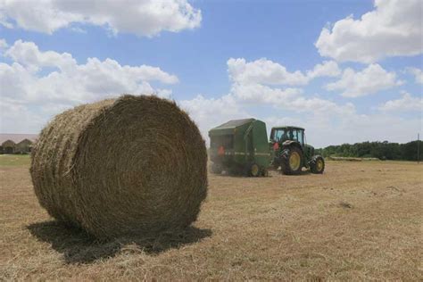 Dr Judd Color Can Tell You A Lot About Hay Quality Texas Farm Bureau