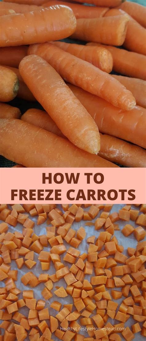 How To Freeze Carrots Healthy Lifestyle Homestead Carrots Healthy