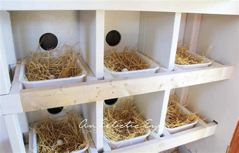 Chicken Nesting Boxes Plans You Can Diy This Weekend