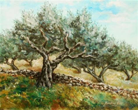 Olive trees Painting | Dipinti, Natura, Disegni