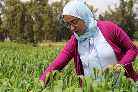 Womens Empowerment In Agriculture Arab German Young Academy