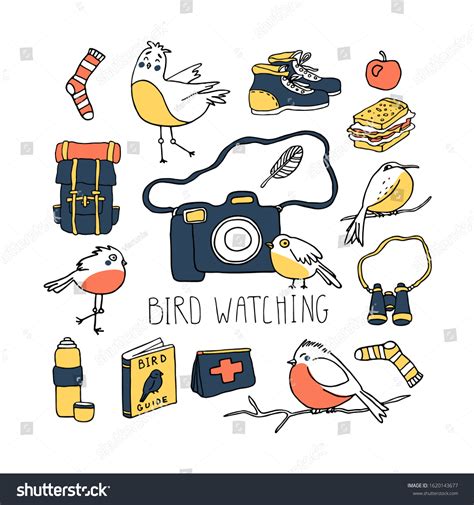 Birds Watching Over 4456 Royalty Free Licensable Stock Vectors