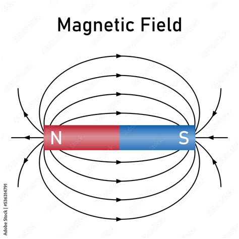 Magnetic field of a bar magnet diagram. scientific vector illustration ...