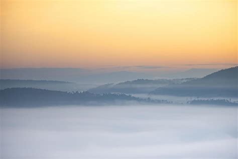 Foggy Landscape Forest In The Morning Beautiful Sunrise Mist Cover