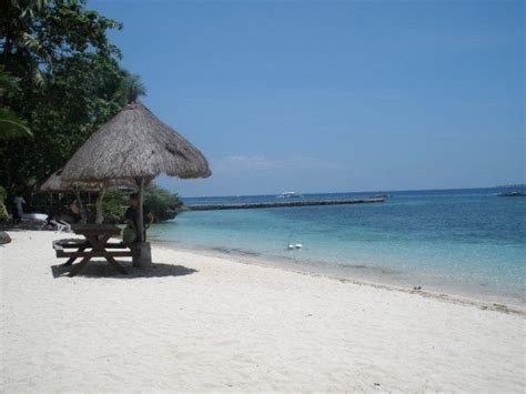 Some beach in Mactan, Cebu | Outdoor, Patio umbrella, Outdoor decor