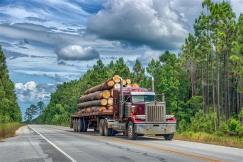 Premium Photo Kenworth Semi Truck Transporting Pine Tree Logs To