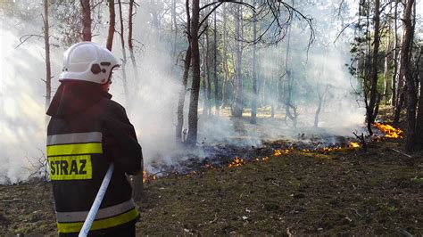 Pożar lasu ul Hynka