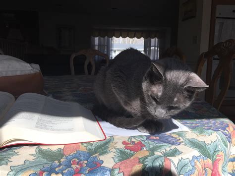 Trying to study internal medicine | Scrolller