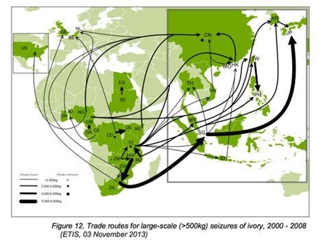 Who's Affected - Poaching A 21st Century Problem