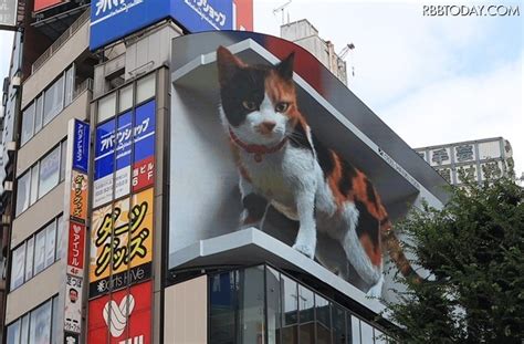 巨大な三毛猫がビルに 東京新宿駅前の広告ビジョン レスポンスResponse jp