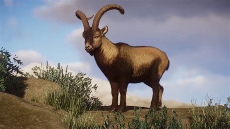 Spanish Or Iberian Ibex New Species V18 Planet Zoo Mod Download