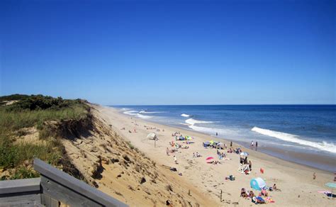 mayflower beach cape  directions  flower site