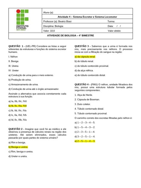 Atividades sobre Sistema Excretor 5º Ano | PDF | Rim | Anatomia