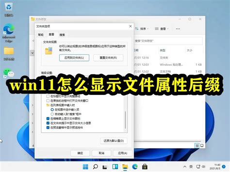 Win11怎么显示文件属性后缀 Windows11显示文件属性后缀方法教程 53系统之家