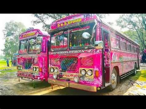 Dham rajina bus video දම් රැජිණි | Bus, Bus games, Adidas wallpapers