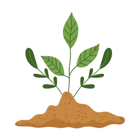 Growing Plant In Soil Vector Art At Vecteezy