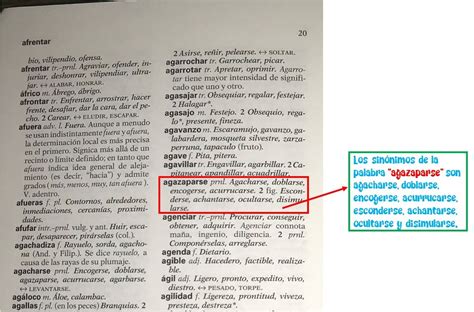 Palabras Sin Nimas Clasificaci N De Las Palabras Seg N Su Significado