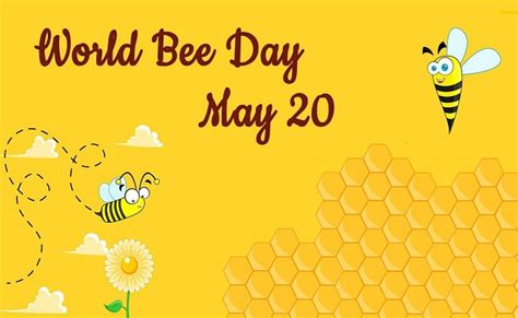 World Bee Day 2022 Theme History And Significance