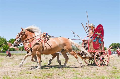 Reconstruction Of A Celtic Gaul Battle Chariot Reconstrucción De Un