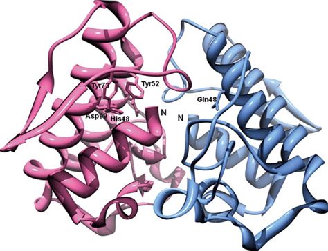 The Classification And Structure Of SVMPs A Schematic Representation