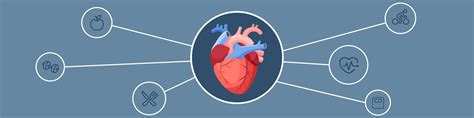 What Is Heart Disease Heart Health Problems Explained Medical Blog